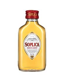 Soplica Hazelnoot 12x0,09l  / Alc26%
